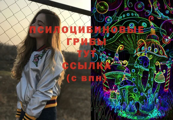 гашик Лагань