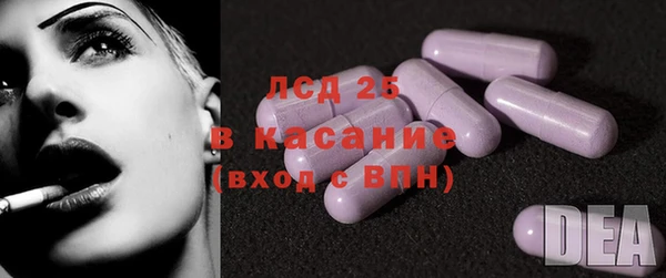 стаф Ладушкин