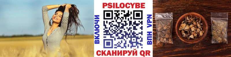 Псилоцибиновые грибы GOLDEN TEACHER  Купить закладки  Оса 