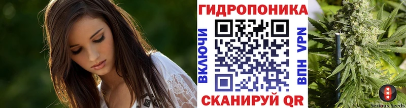 Купить закладки  Оса  Конопля ГИДРОПОН 